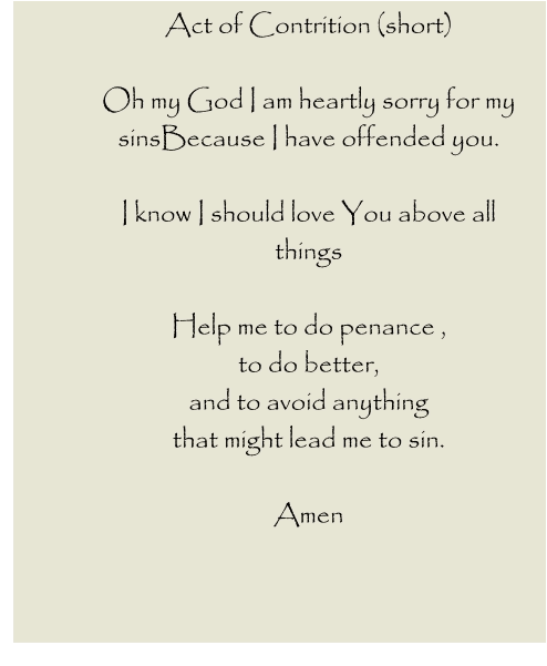 Act of Contrition (short)  Oh my God I am heartly sorry for my sinsBecause I have offended you.  I know I should love You above all things  Help me to do penance , to do better, and to avoid anything that might lead me to sin.  Amen